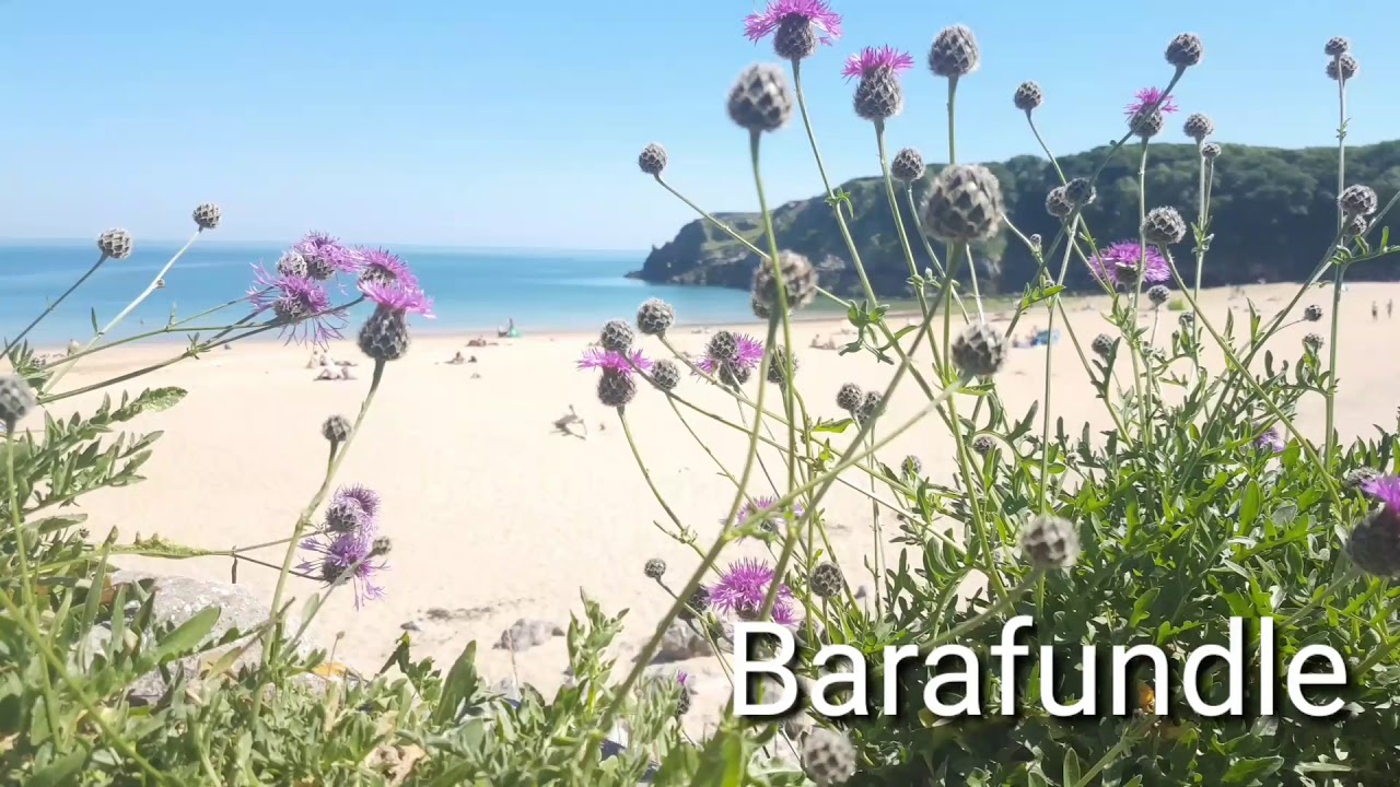 Five wonderful beaches in Pembrokeshire, south west Wales