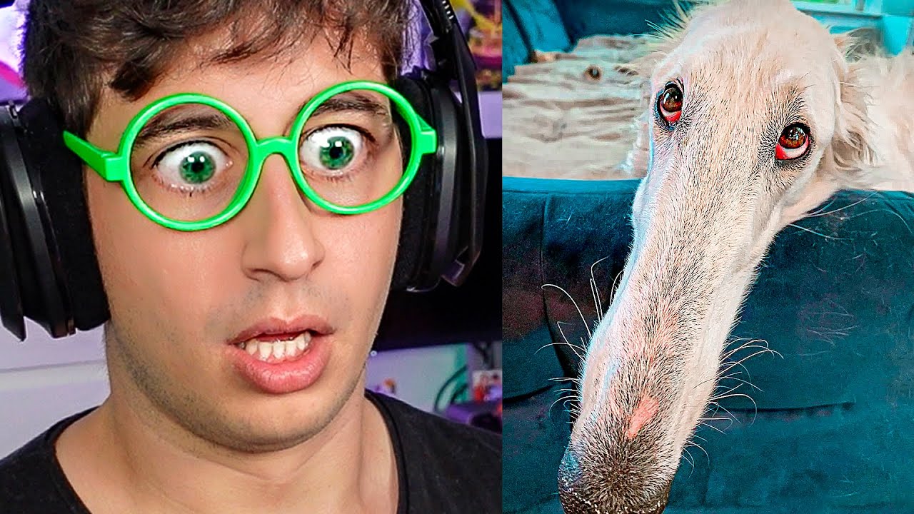 COSAS QUE NO SABÍAS HACE 5 MINUTOS #15 - tekendo reaccionando