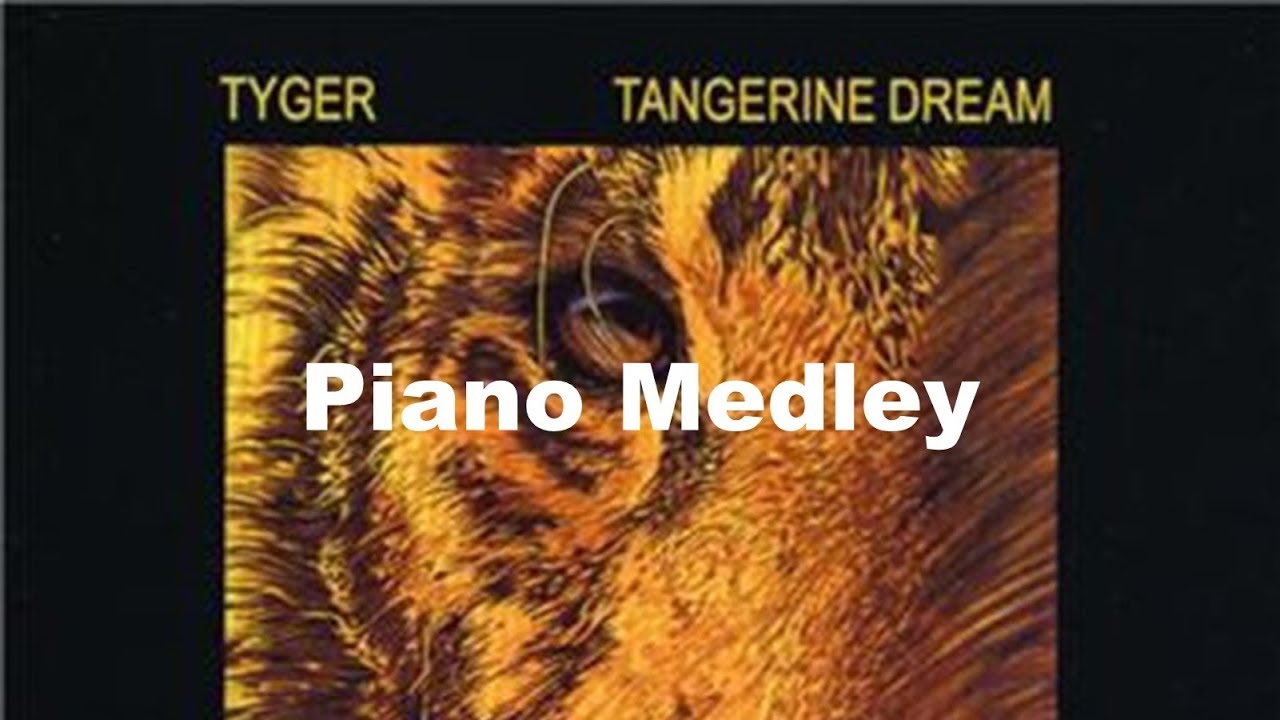 Tangerine Dream Piano Tribute - Tyger Medley