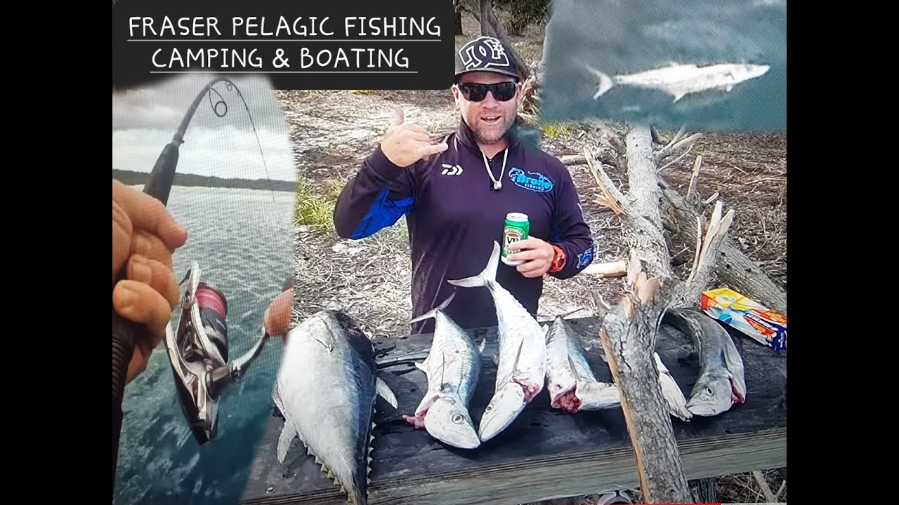 Fraser Island Pelagic Fishing  & camping wathumba creek