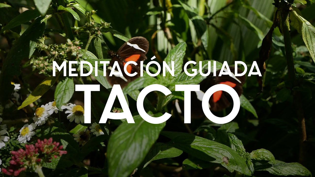 Meditación con Tacto | 10 min | Yoga con Baruc