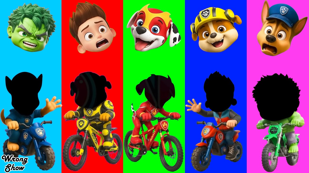 Wrong eyes 👀 Paw Patrol Family Friendly Full Episodes - DAME TU COSITA Funny Puzzle Wrong Heads #37