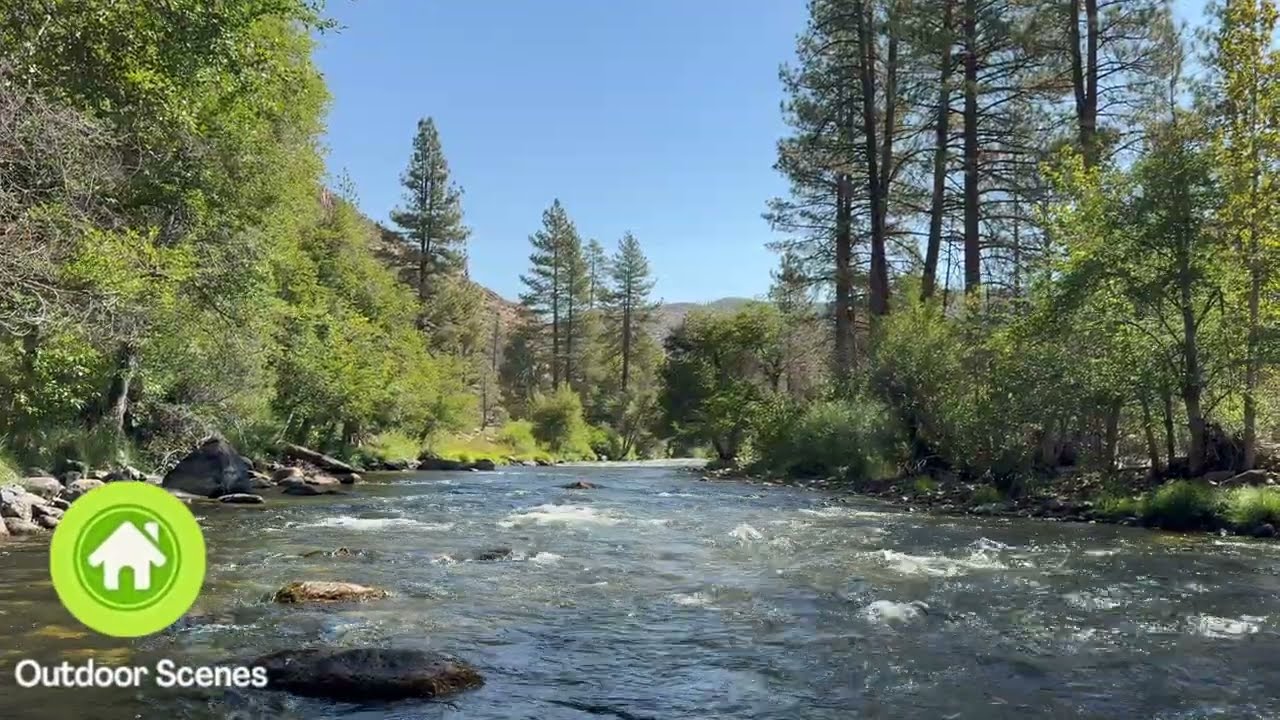 Relaxing River Sights & Sounds | Kern River in Golden Trout Wilderness, California