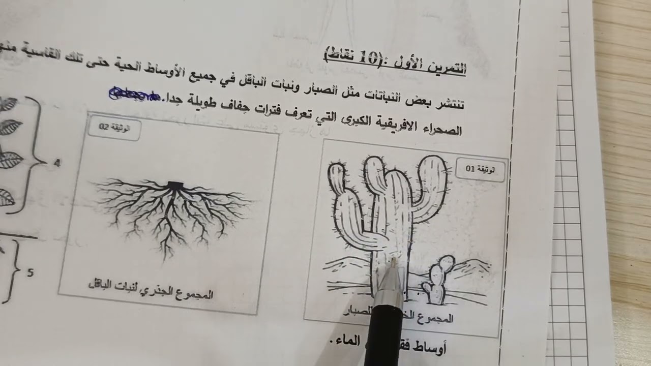 حل تمرين حول مظاهر تكيف النبات مع الوسط الجاف للسنة الثانية متوسط 