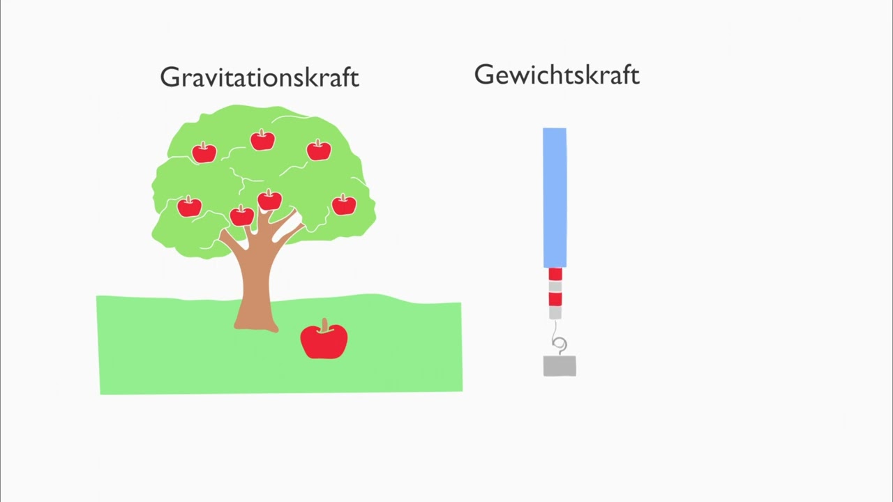 Unterschied zwischen Gravitations-  und Gewichtskraft