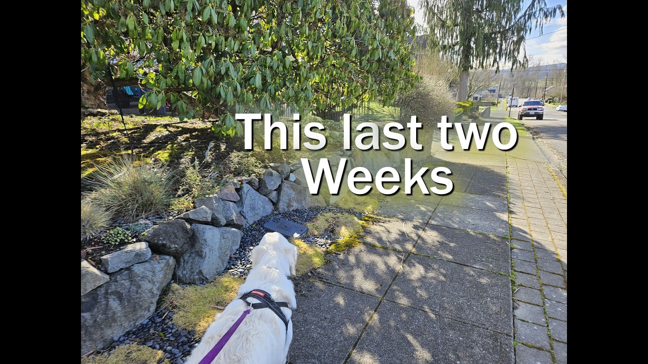 All that happen in two weeks