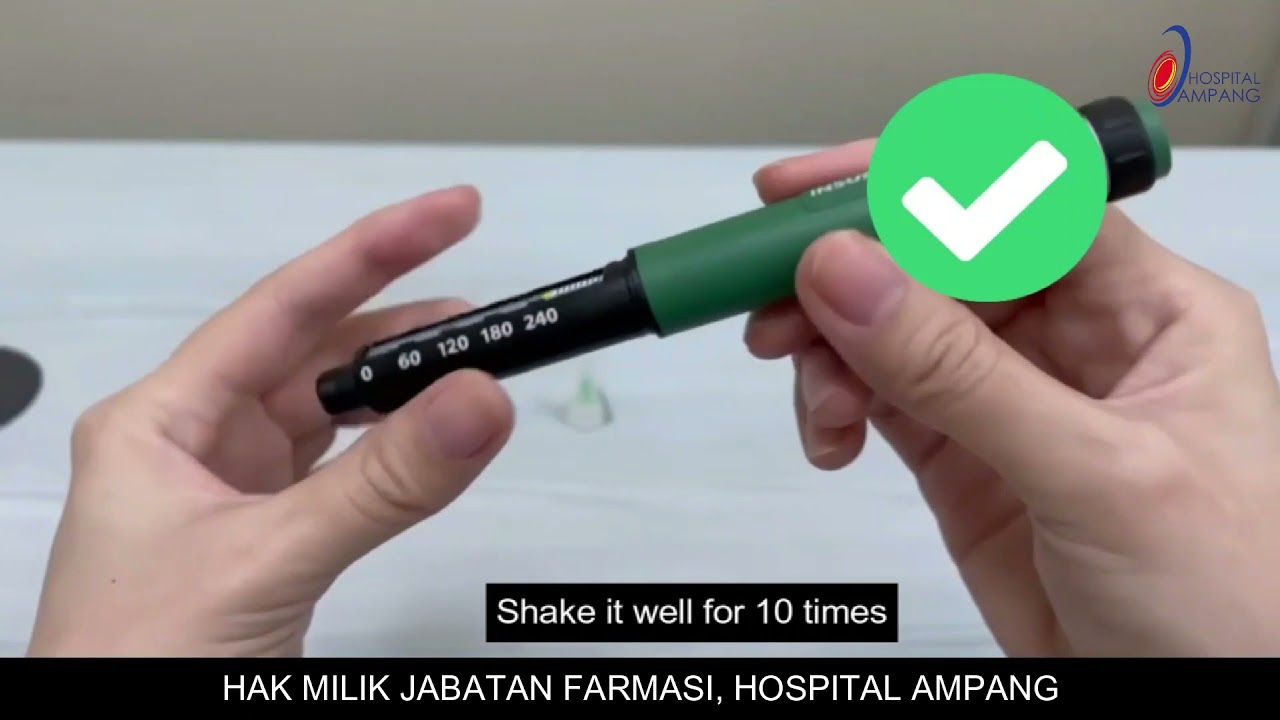 Kaunseling Pen Insulin (Versi Bahasa Melayu)