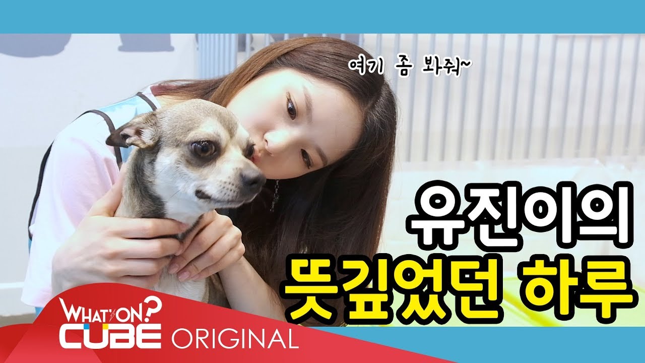 CLC(씨엘씨) - 둠칯두둠칯 (Doom-CLC, Doodoom-CLC) [유진] EP.01 : 유기견 보호소 방문기