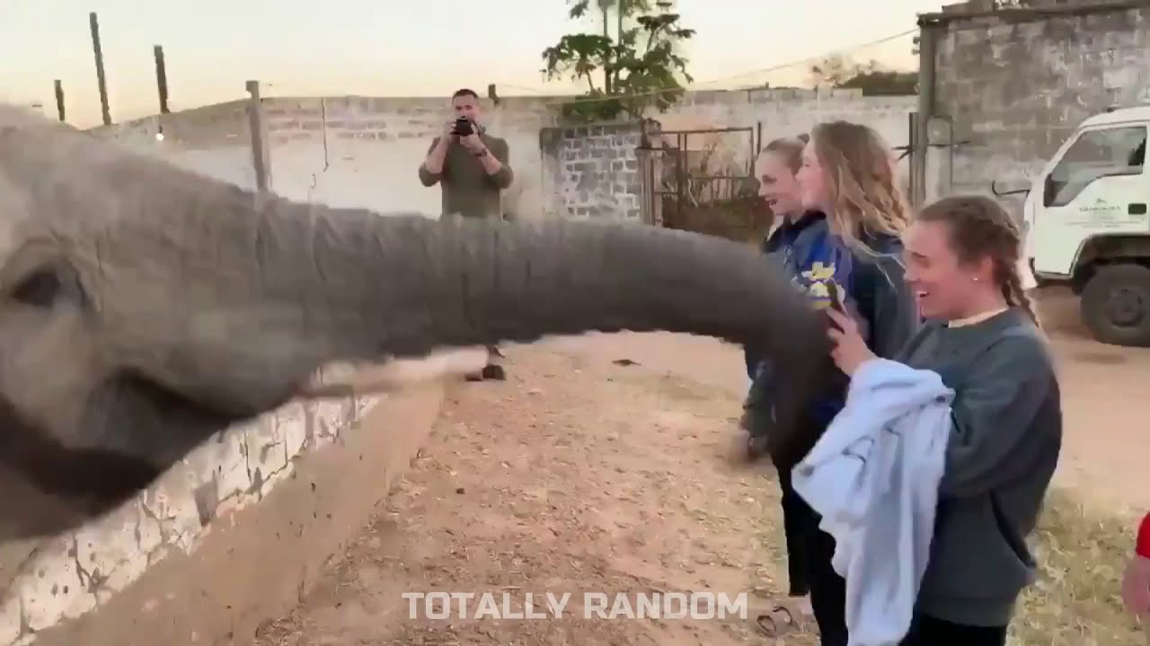 131216 - Totally Random #3 - مقاطع مضحكة جدا