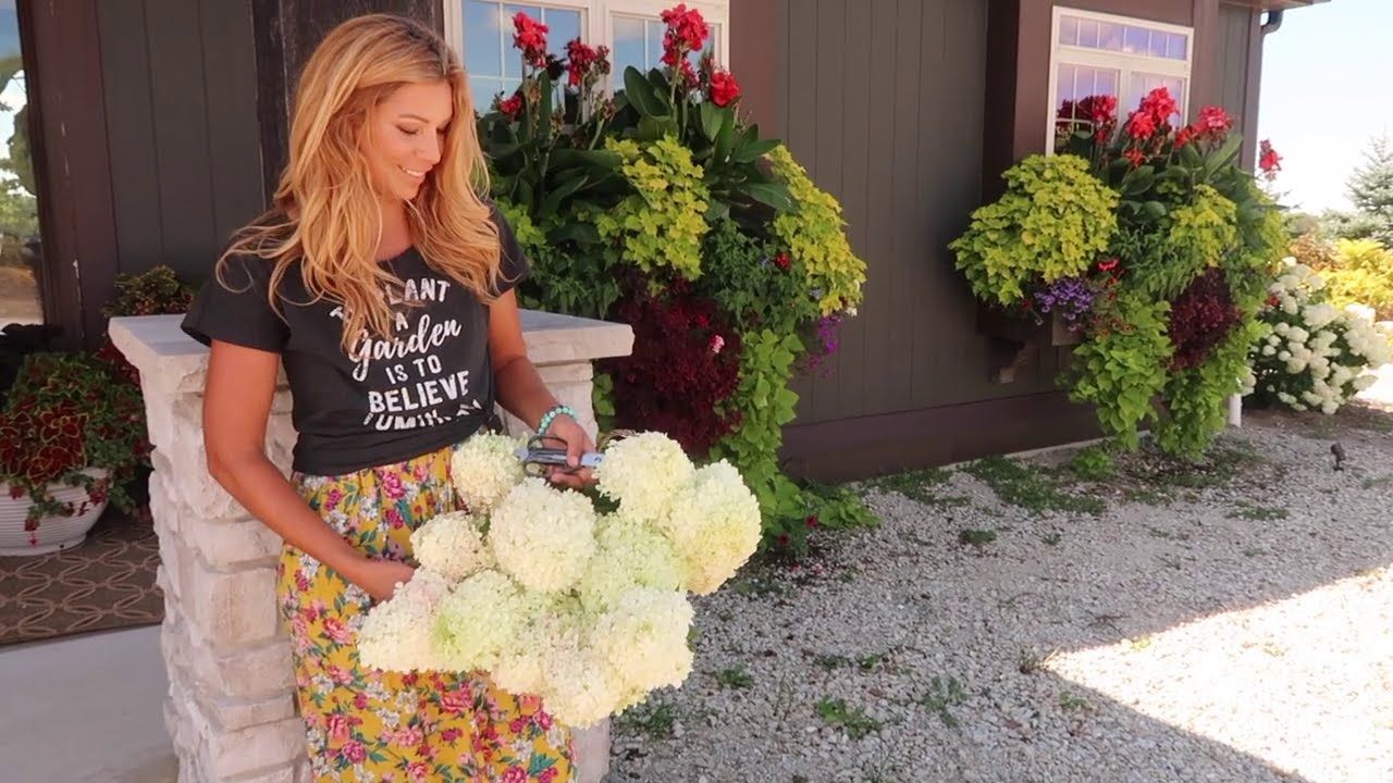 Hydrangeas & Bouquets | North Side Garden Favorites // The Lawrence Garden Farm
