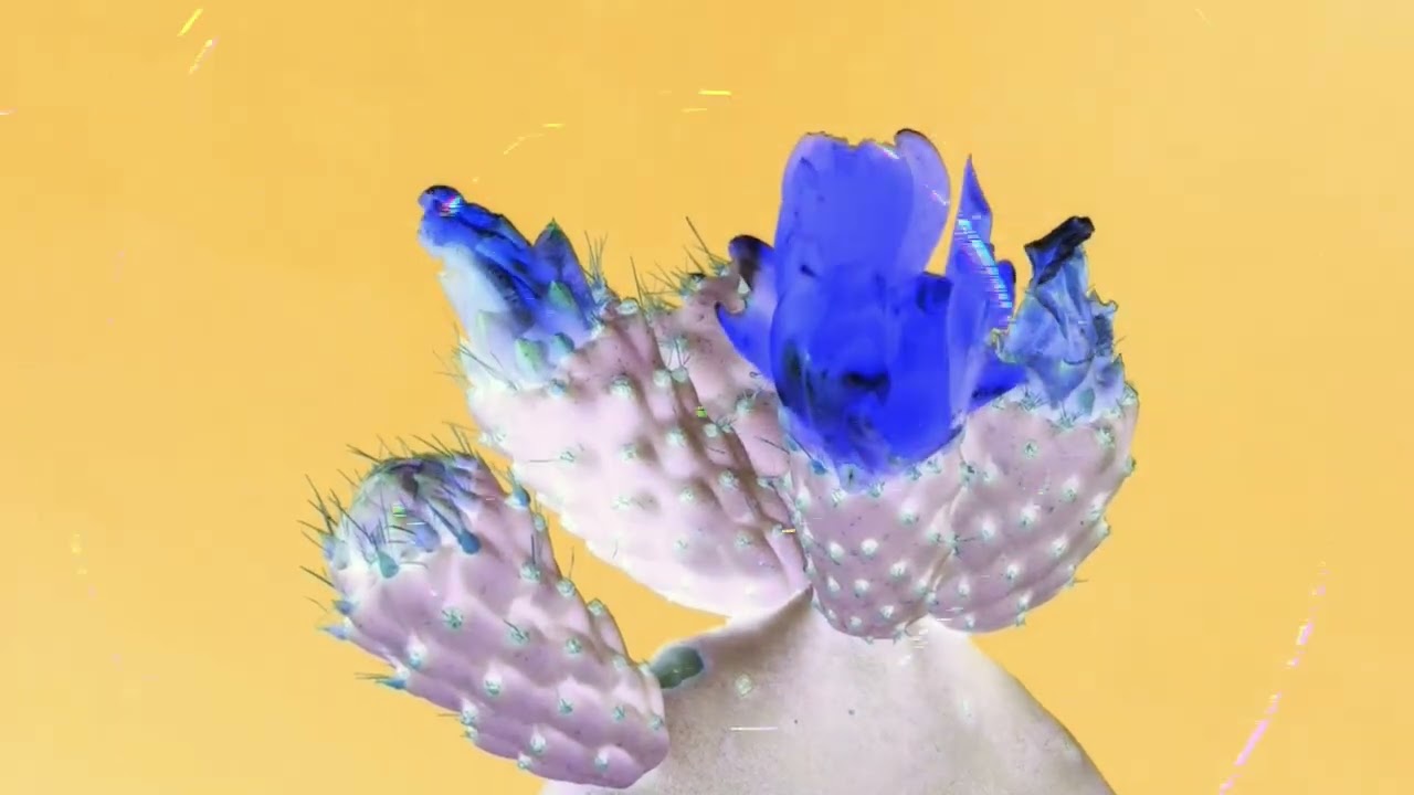 Collapsing Eden - Official Visualizer