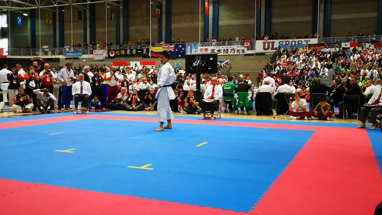 Kata Kanku Dai - Kurihara Hidemoto - 14th. Funakoshi Gichin Cup 2017