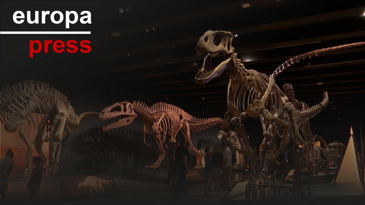 El CaixaForum Madrid muestra una réplica del esqueleto del mayor dinosaurio conocido