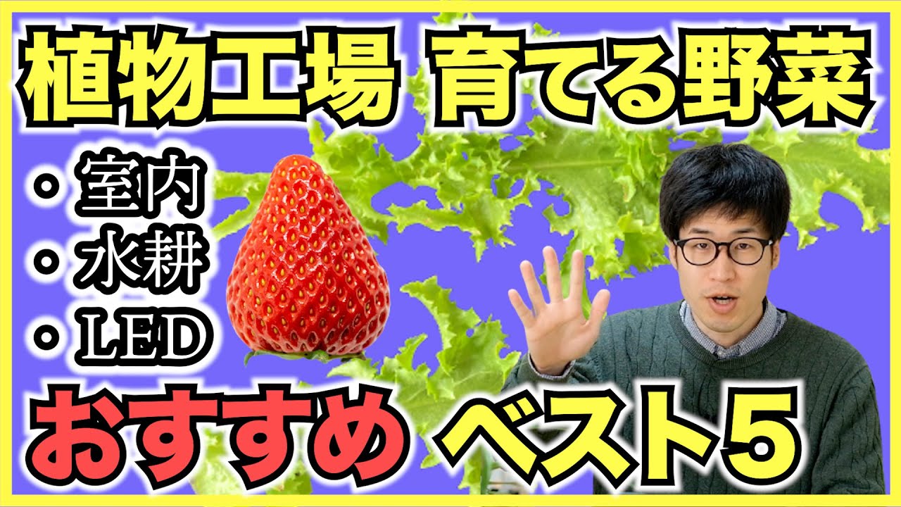 【植物工場】室内LED水耕栽培でおすすめの野菜ランキングベスト5【いちごやレタスを抑えて1位に輝いたのは...】