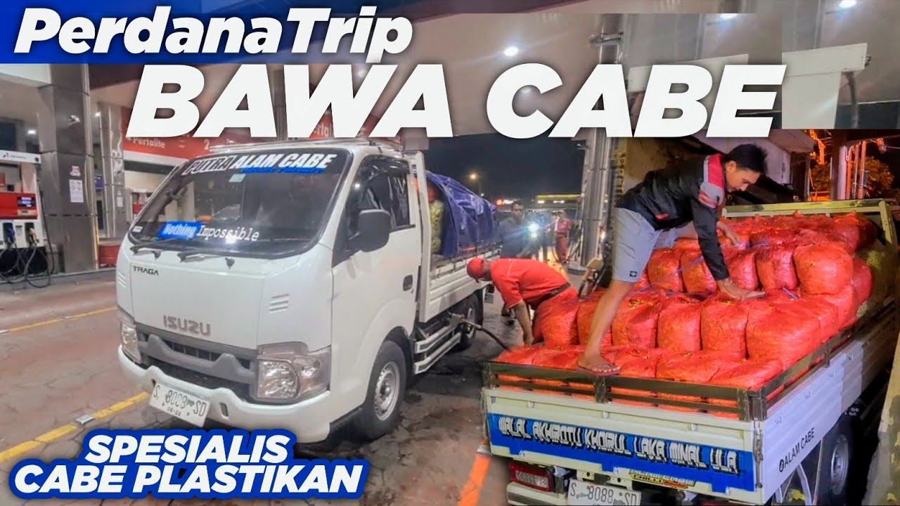 TRIP PERDANA‼️MUAT CABE TRAGA EURO 4 BONGKAR MALANG🌶 (Alam Cabe Mojokerto)