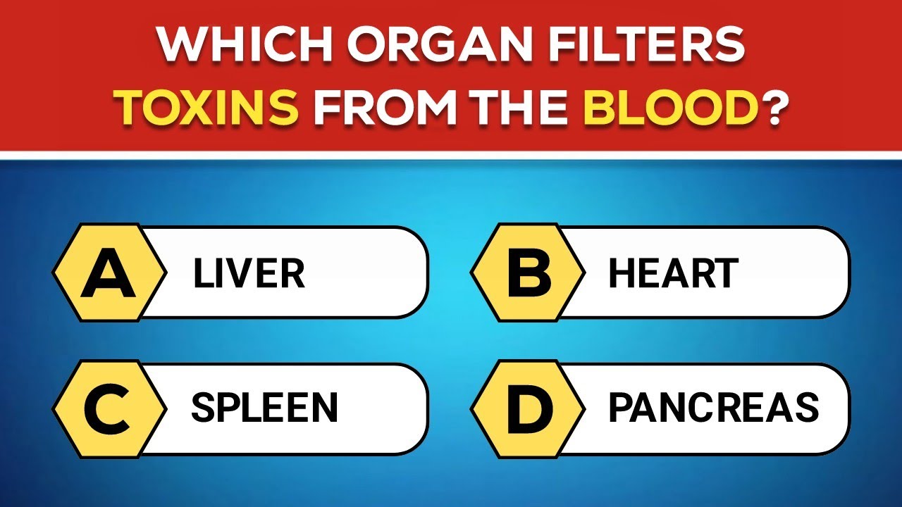 Can You Pass This Human Anatomy Quiz? 🧠 Answer These 30 Hardest Questions 🤯