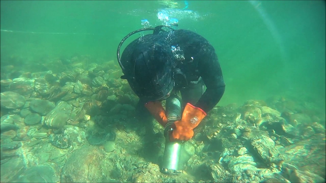 Gold dredging. Testing new area
