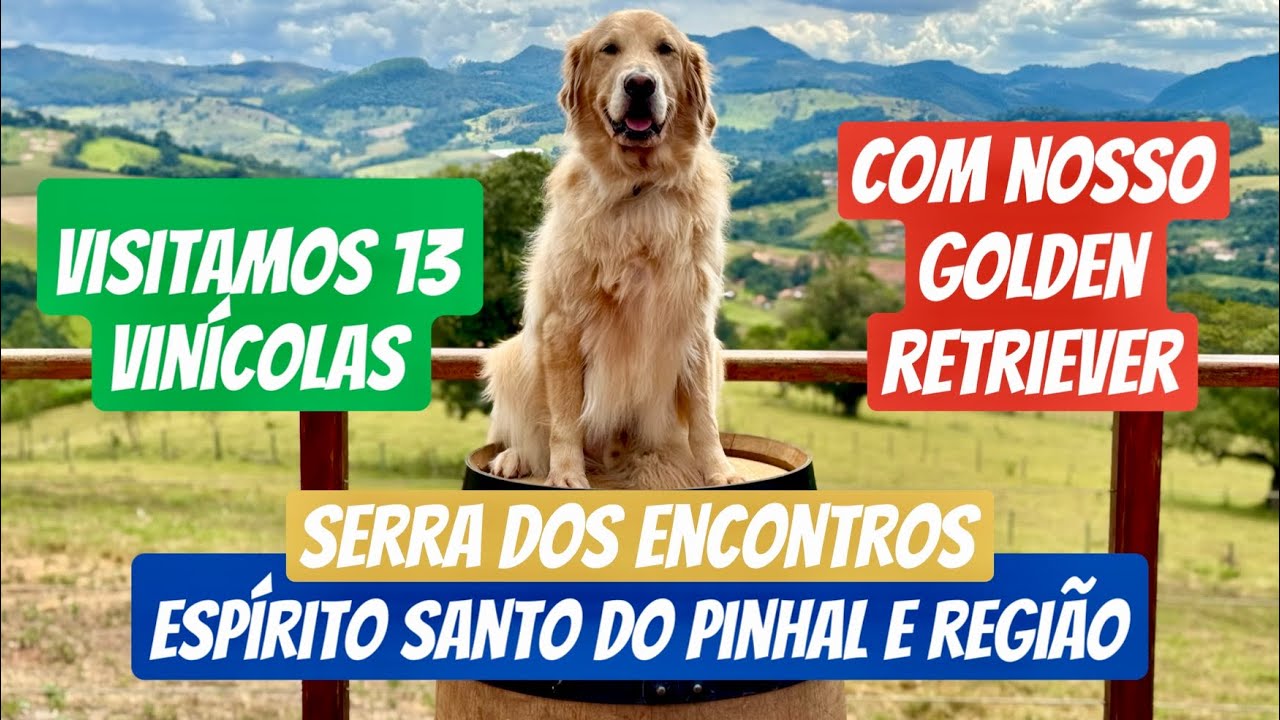 Espírito Santo do Pinhal com nosso cachorro, viagem de 7 dias com visita a 13 vinícolas de SP e MG