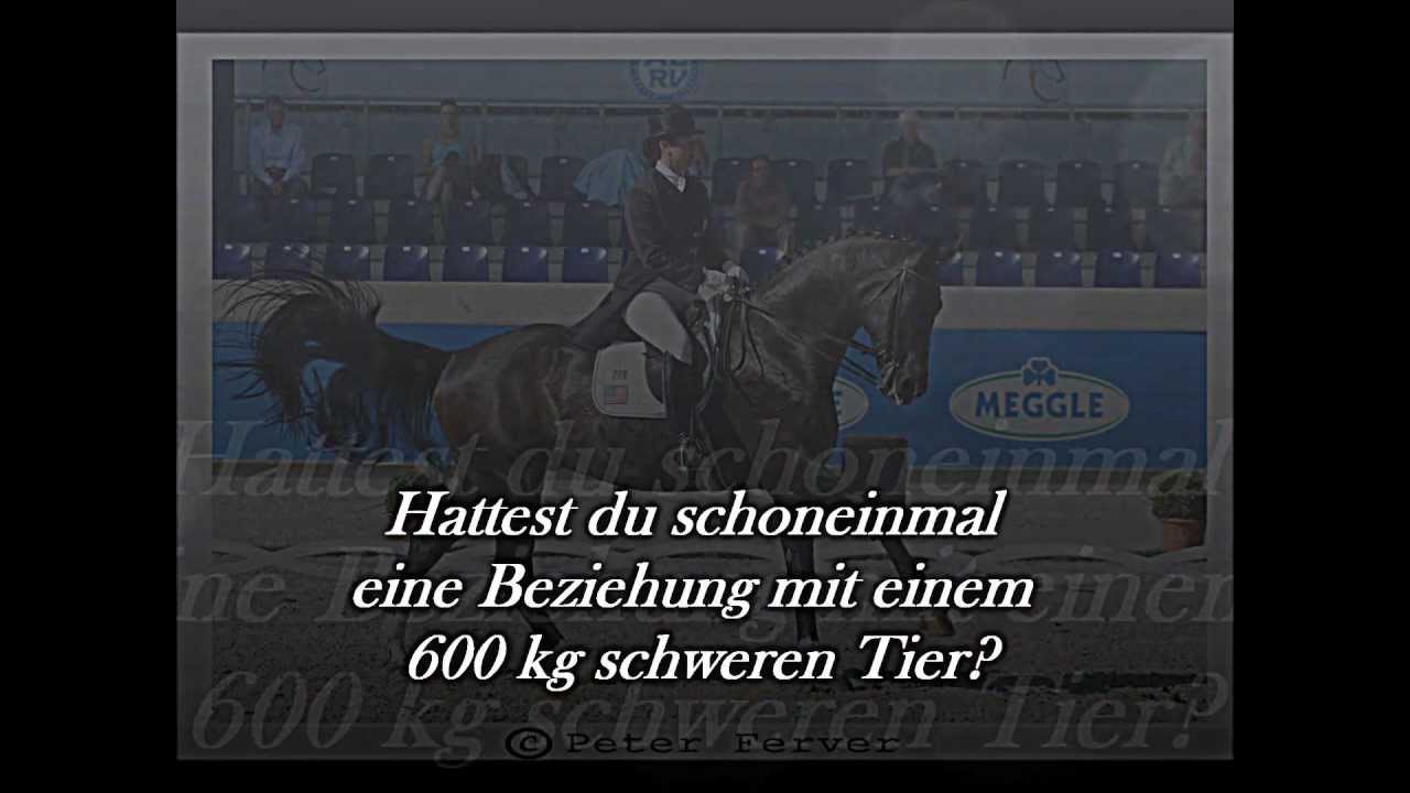 Denkst du immer noch Reiten sei einfach und langweilig?