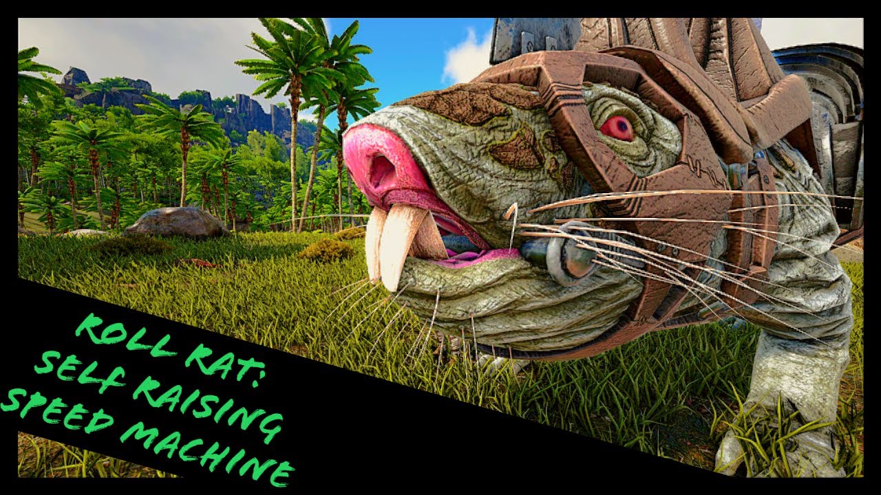 ROLL RAT: FASTEST TAME THAT CAN RAISE ITSELF