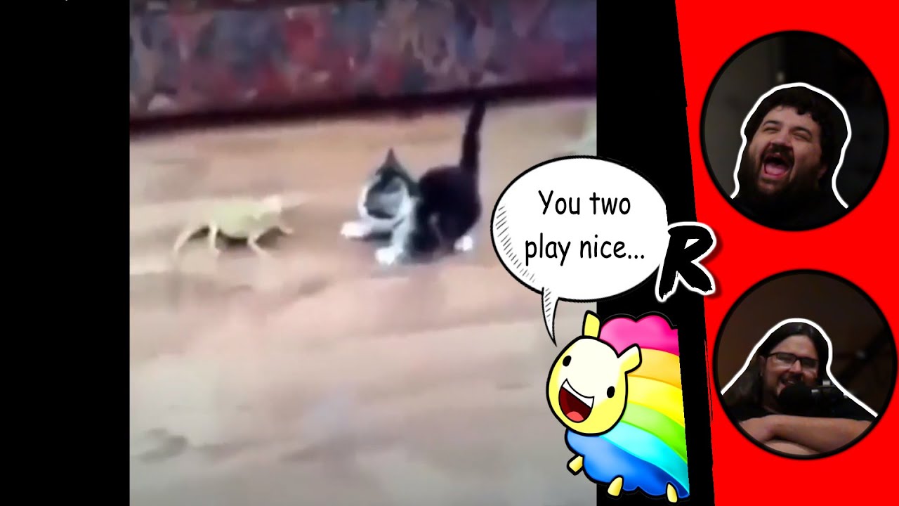 Мемы, которые стирают депрессию 😂 - @TheMemeSheep1 | РЕАКЦИЯ РЕНЕГАТОВ