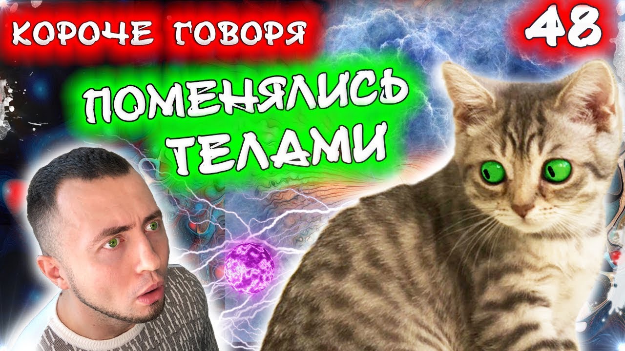 КОРОЧЕ ГОВОРЯ, ПОМЕНЯЛИСЬ ТЕЛАМИ / Короче говоря, котенка сбила машина / Бездомный котенок Лайки