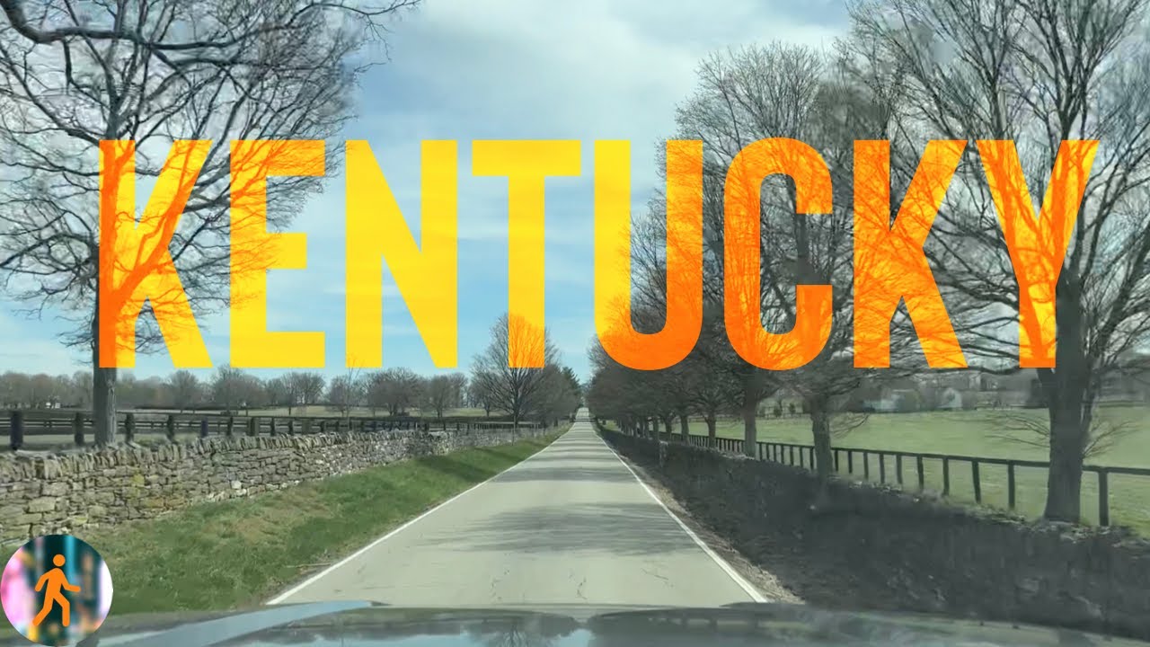 Driving Around Lexington, Kentucky & PETTING HORSES