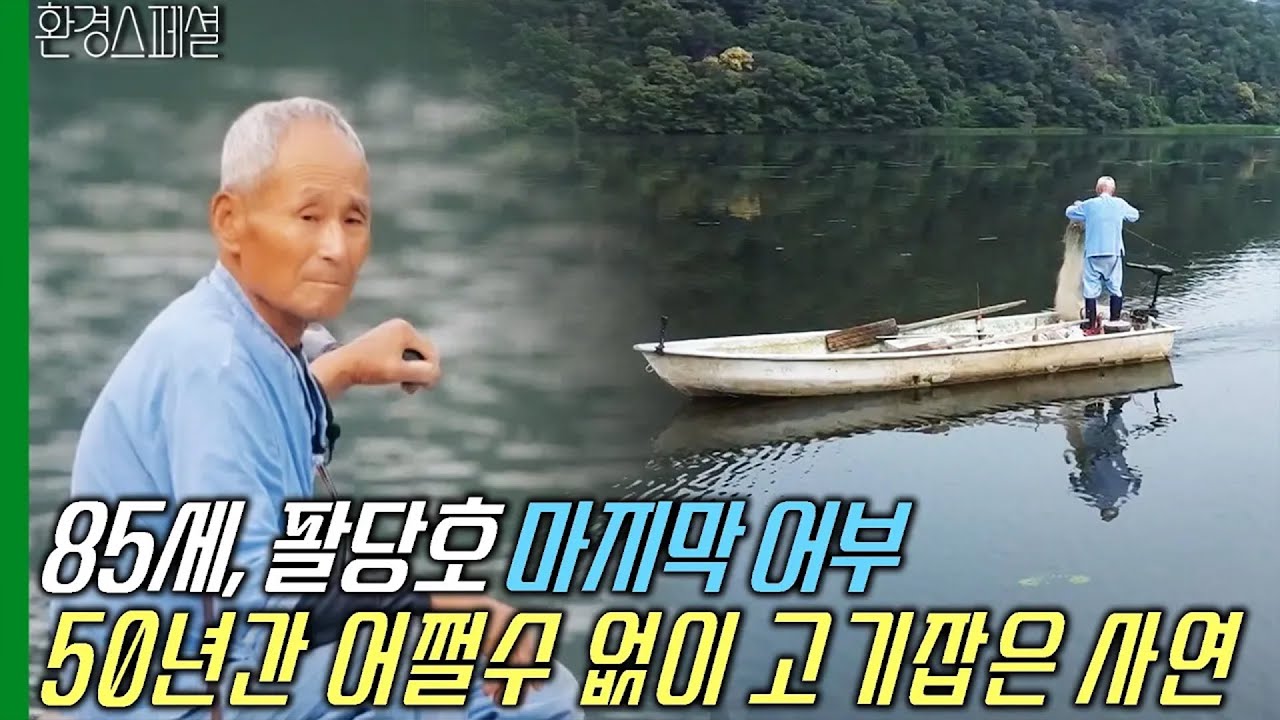 85세, 팔당호 마지막 어부... 어쩔 수 없이 50년간 고기 잡은 사연 [다큐온-팔당, 더불어 살다] / KBS 20230729 방송
