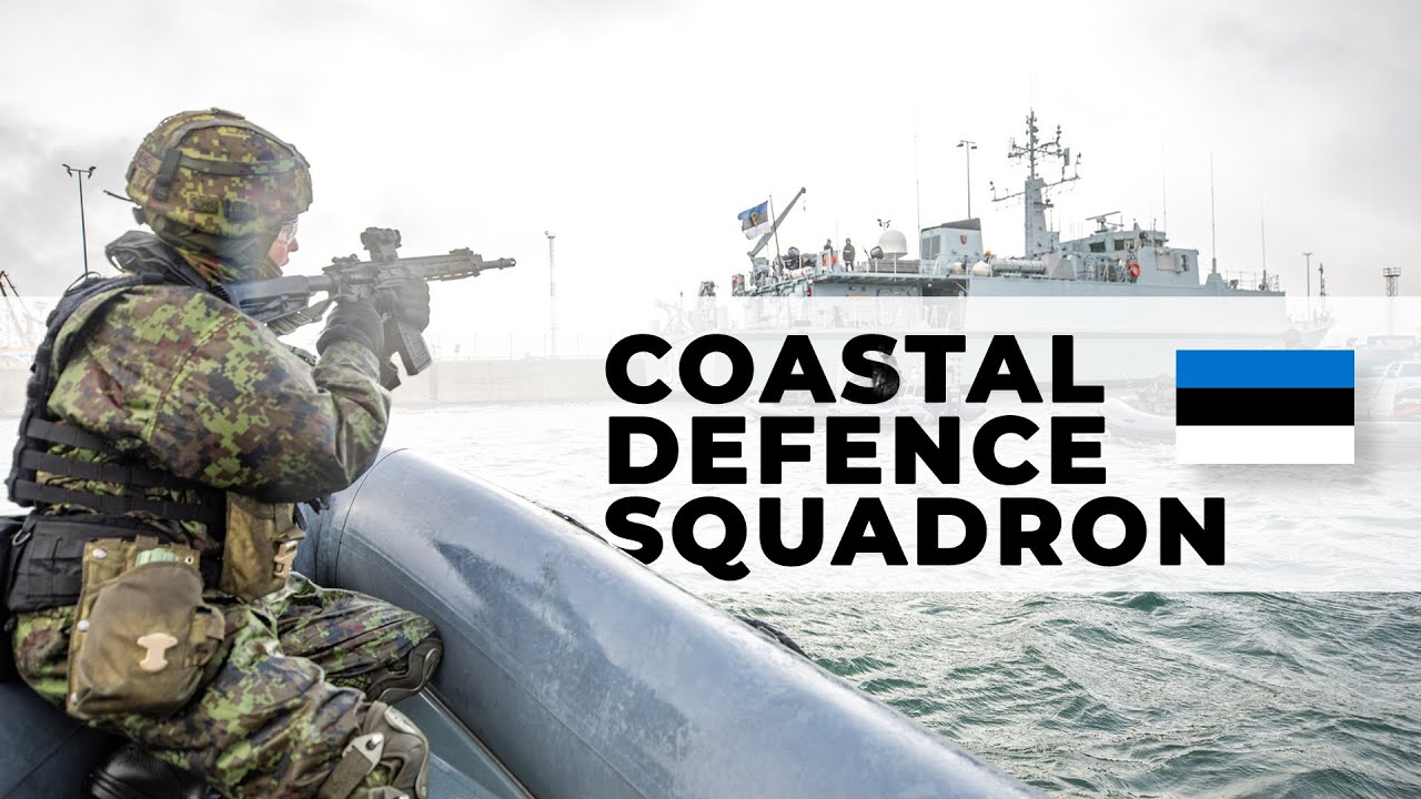 What Is Estonia's Coastal Defence Squadron All About?