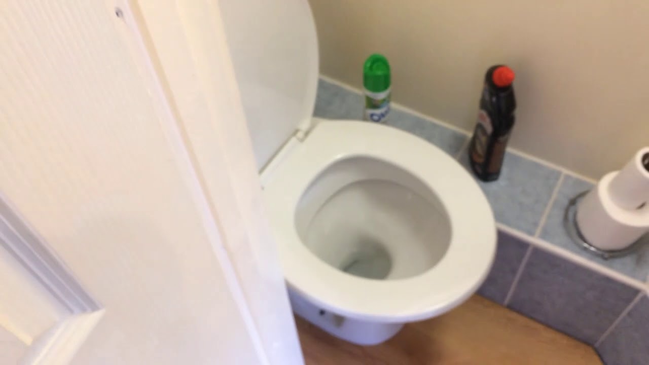 Is this the smallest toilet?  Clever use of space !