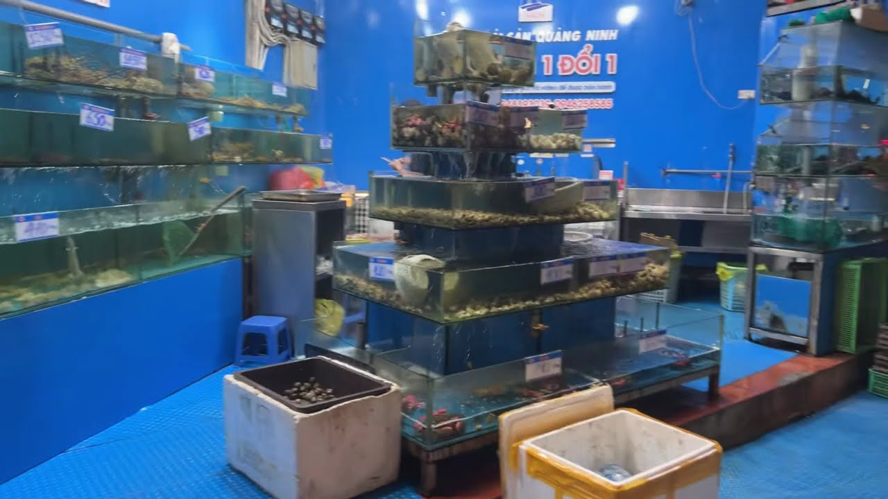 🇻🇳🚶