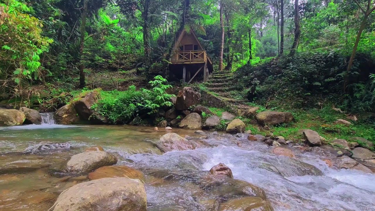 Soft River Ambience | Natural White Noise to Focus and Unwind