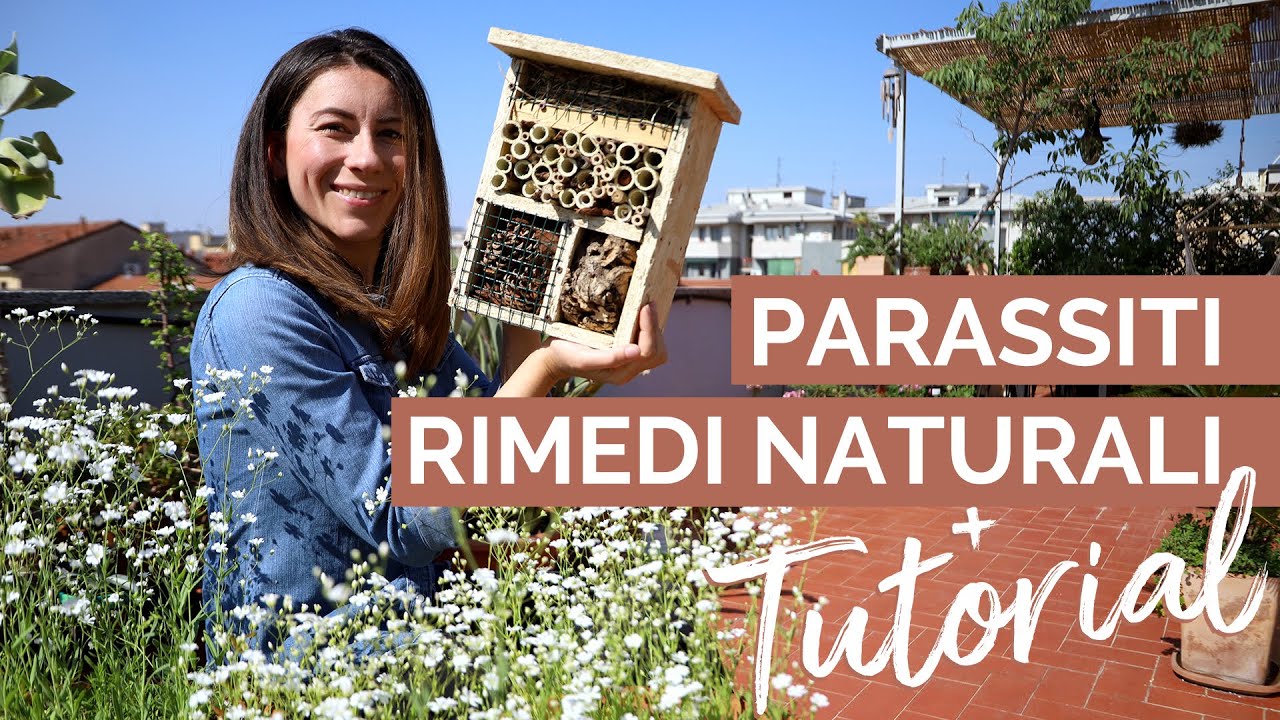 RIMEDI NATURALI, salviamo le piante e le api + TUTORIAL spettacolare!