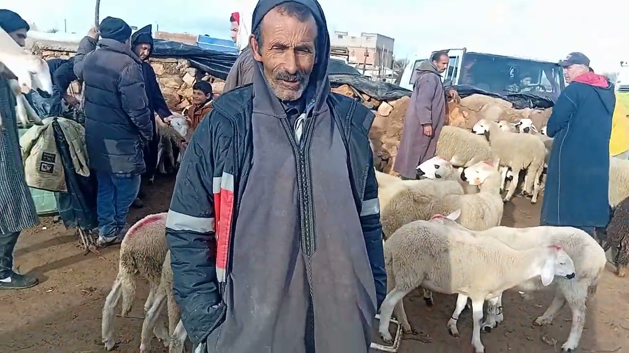 ألله ألله على سوق الأسبوعي بني عامر إقليم قلعة السراغنة بتاريخ 28/01/2026/0658373050