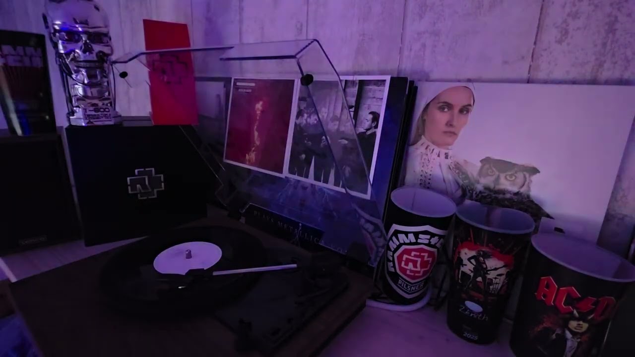 RAMMSTEIN XXXIII Wollt Ihr Das Bett In Flammen Sehen? vinyl