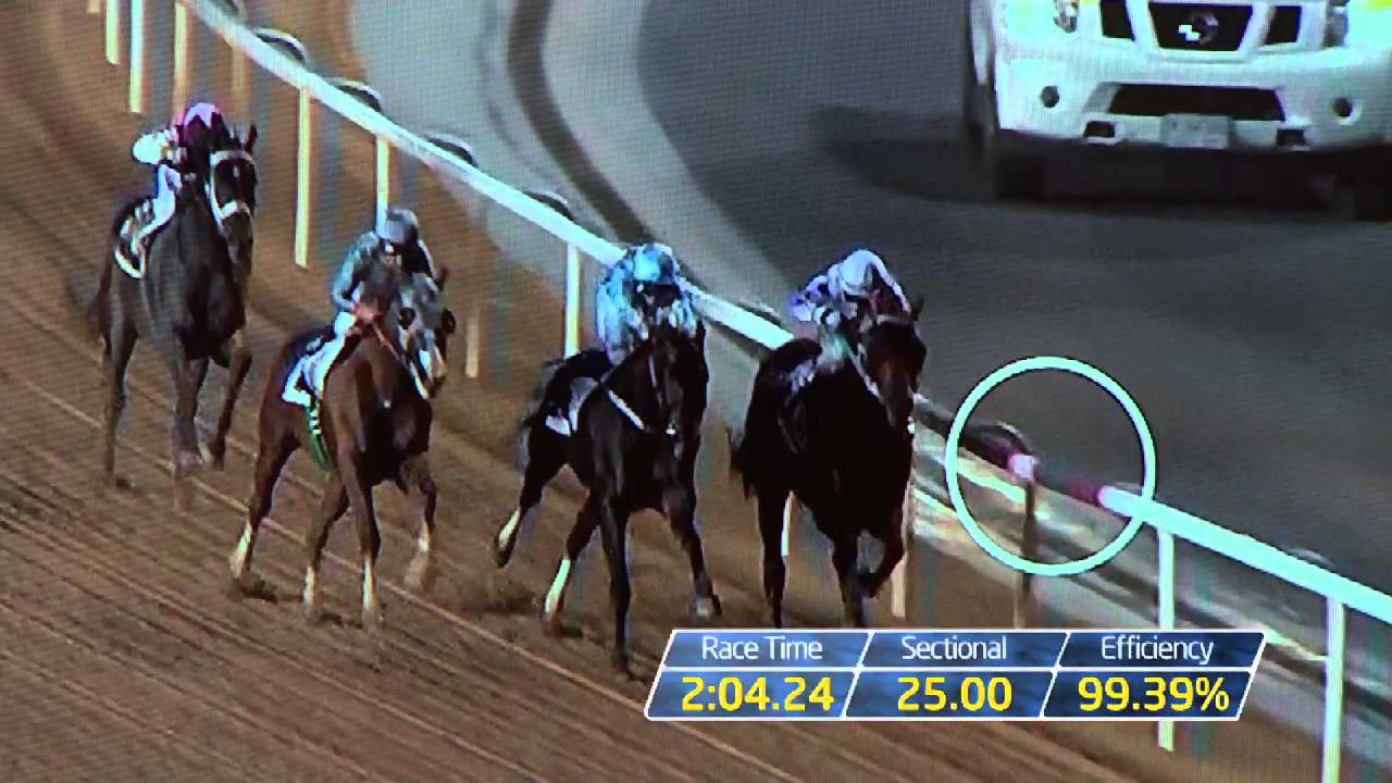 California Chrome Analysis - Racing TV