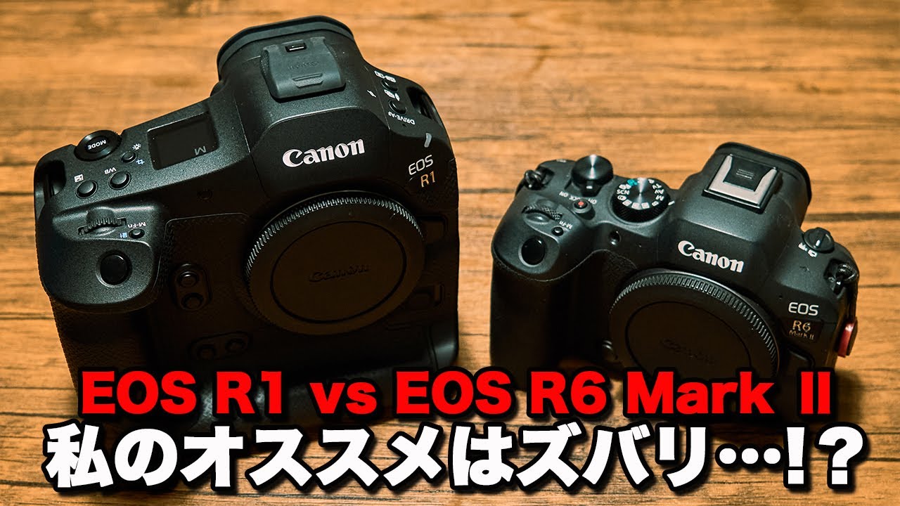 【EOS R1 vs EOS R6 Mark Ⅱ】比較してみた結果、私のオススメはズバリ◯◯です！！