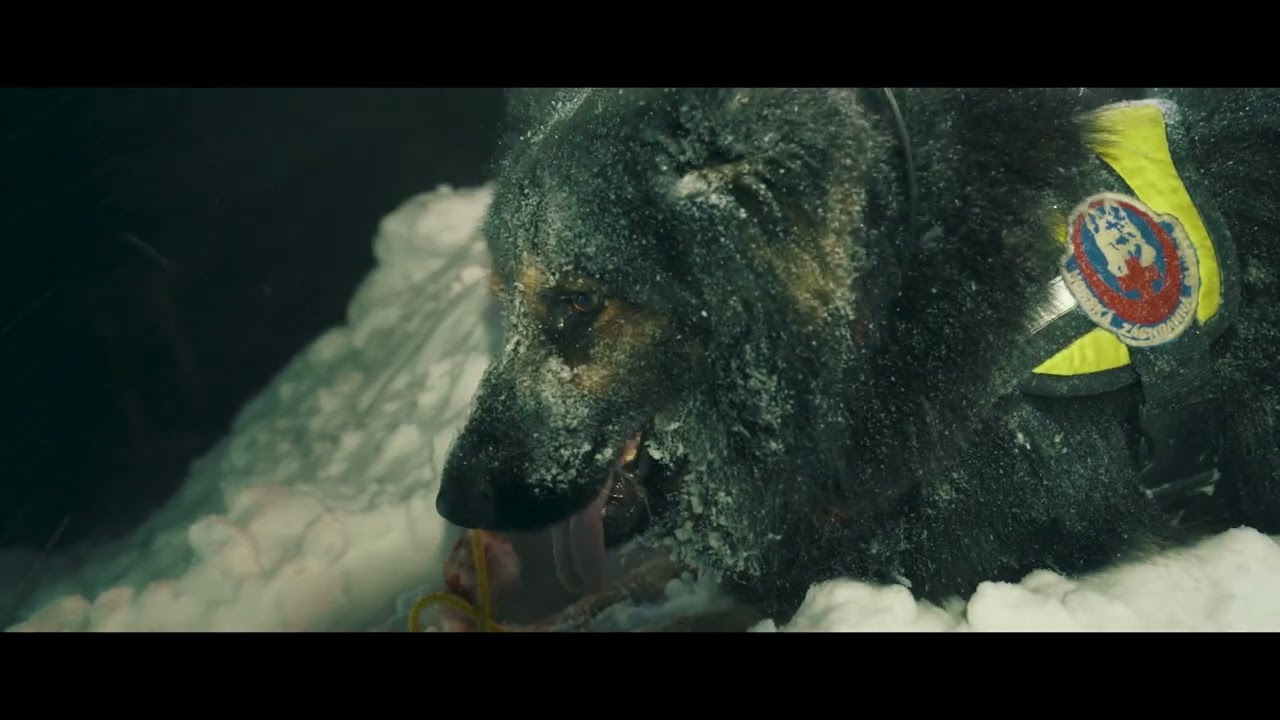 Memorial video for dog heroes of the Mountain Rescue Service (Spomienkové video pre psích hrdinov)