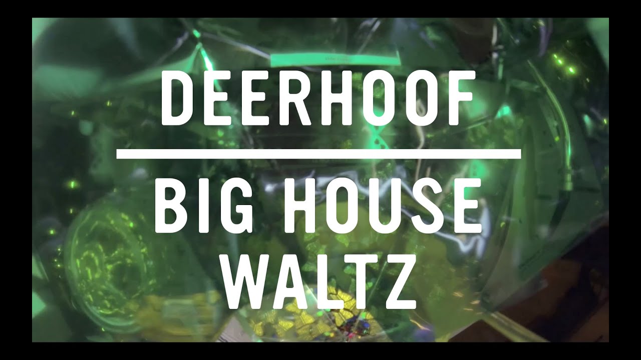 Deerhoof – Big House Waltz [OFFICIAL MUSIC VIDEO]