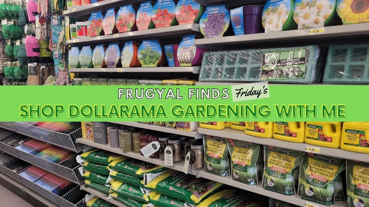 DOLLARAMA - GARDENING WALK THROUGH