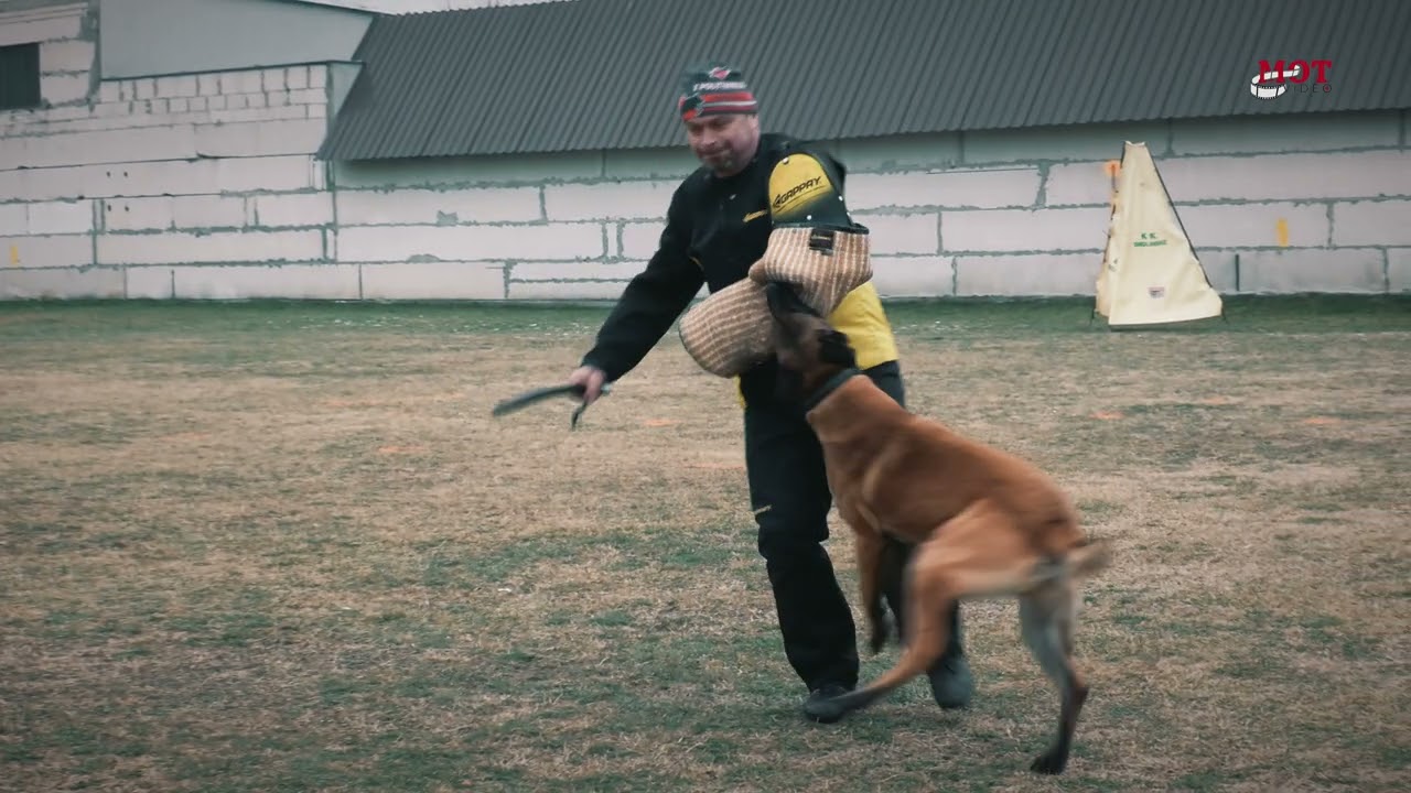 Figuranti a jejich tanec