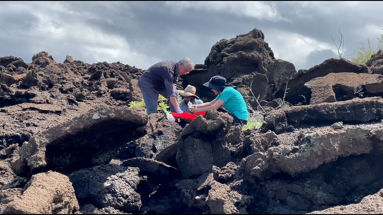 Expedition to uncover invisible life in Galápagos