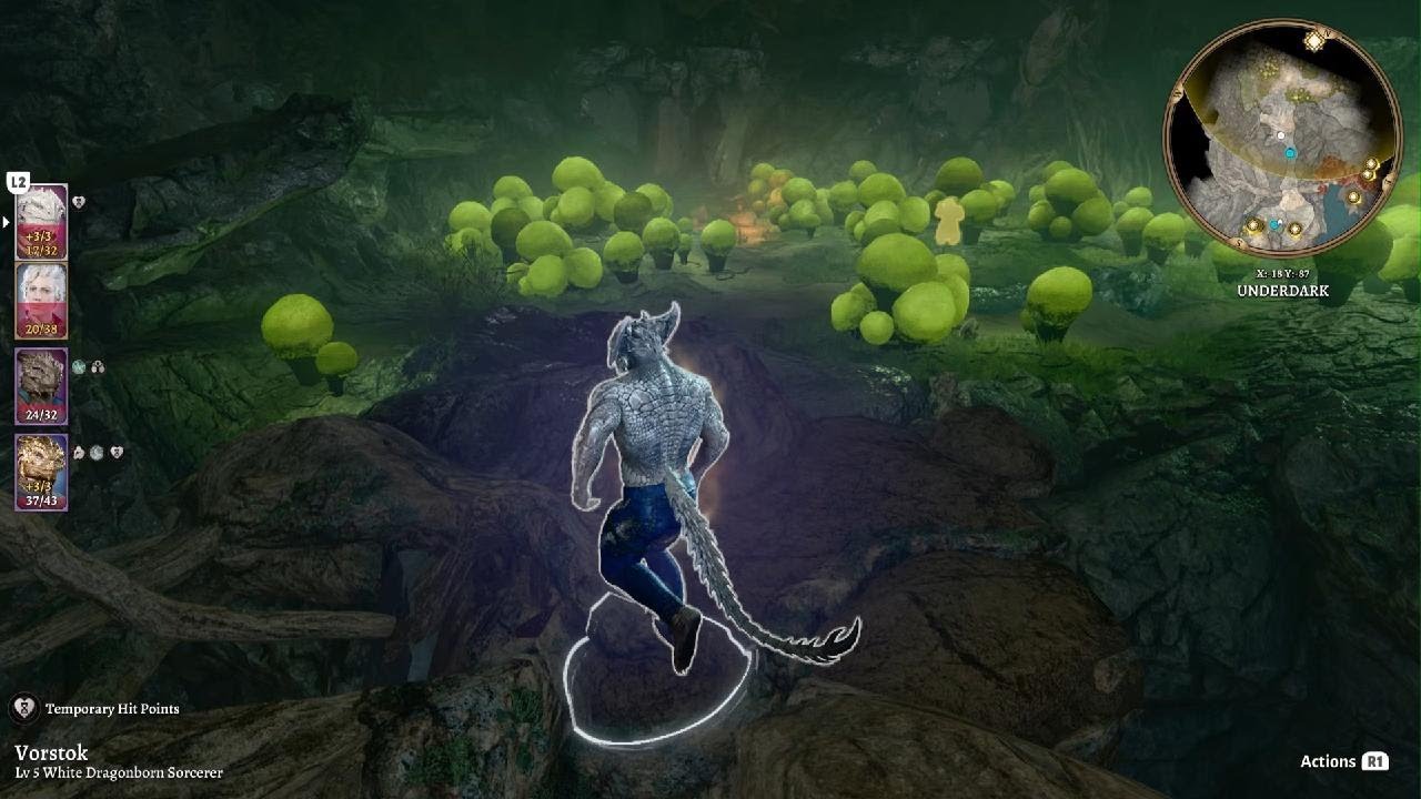 Baldur's Gate 3 - Bibberbang...