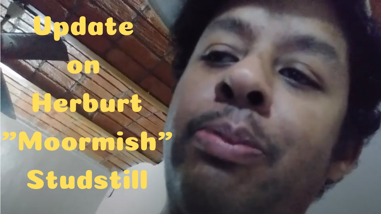 Quick video update on Herburt Studstill, the Moormish guy