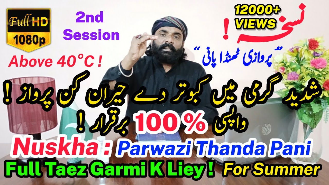 Bazi Mein Kabootar K Liey Thanda Pani | Parwazi Thanda Pani | Thanda Pani For Summer Season, Jeth