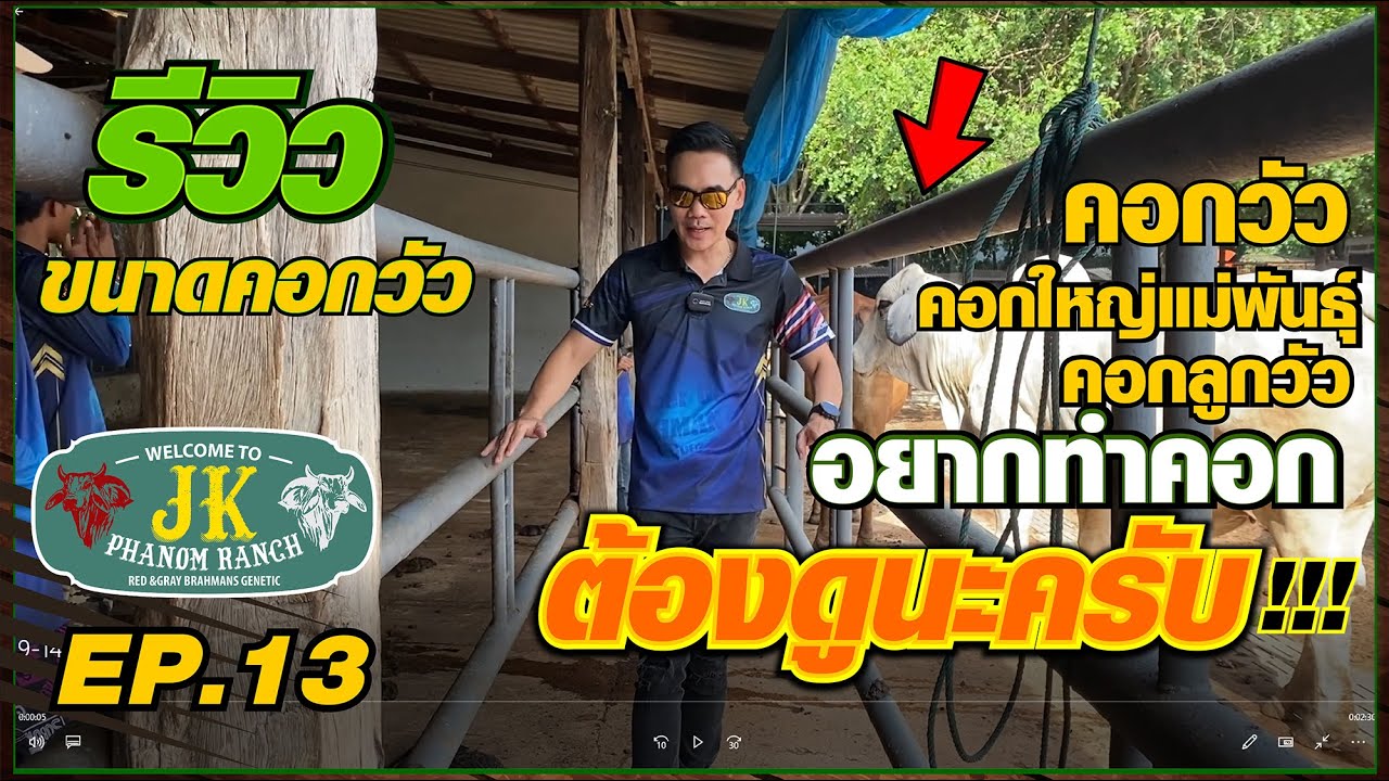 ตามติดชีวิตคนทำฟาร์ม : เฮียหมูแนะนำขนาดของคอกวัวแบบจัดเต็ม อยากทำคอกวัวดูคลิปนี้นะครับ #เจเคพนมแรนซ์