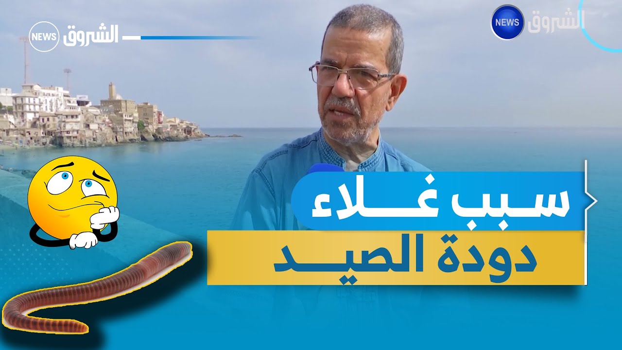جمع دودة طعم الأسماك عندما تتحول الهواية الى مصدر لكسب الرزق