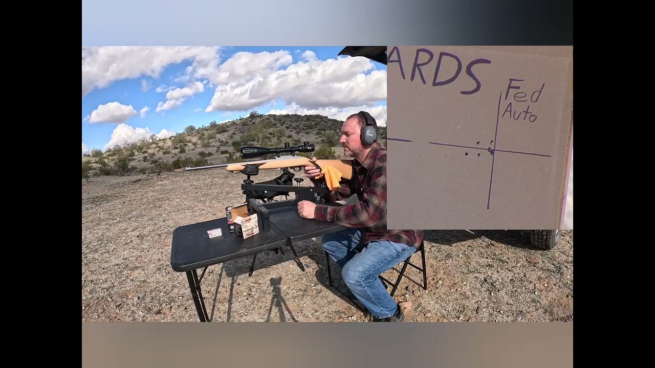 Ruger 10/22 30yds first shots and ammo test