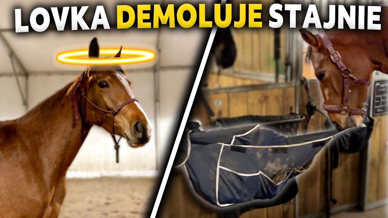 LOVKA SPOWODOWAŁA ŁZY WZRUSZENIA 🥹 | Duże zmiany w naszym życiu 🤭