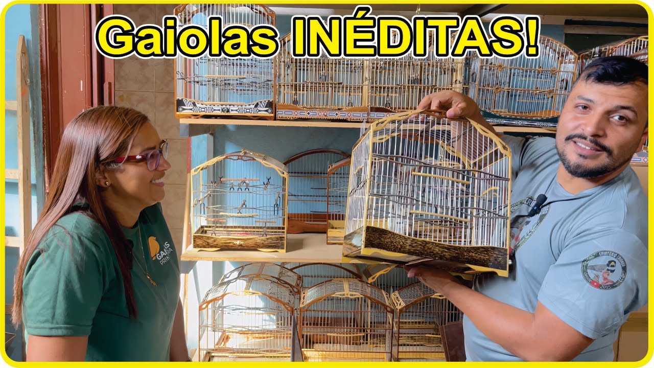 OS MELHORES MODELOS DE GAIOLAS DO BRASIL – Direto da Fábrica!"